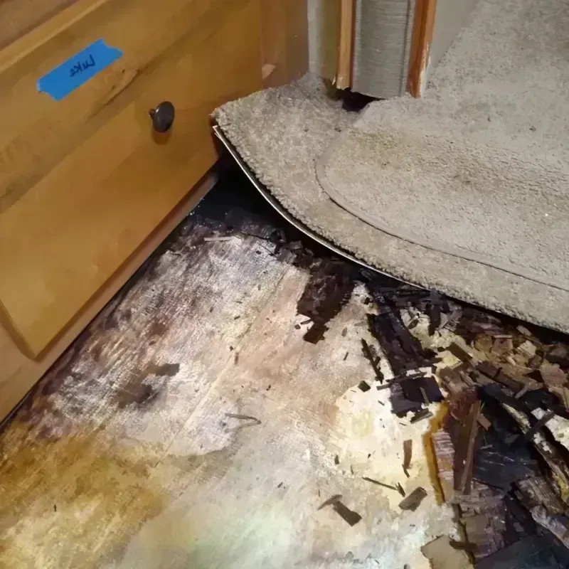 Best Wood Floor Water Damage Service in Lincoln Beach, OR